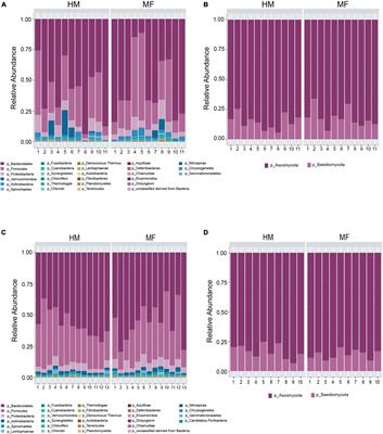 Bacterial and Fungal Adaptations in Cecum and Distal Colon of Piglets Fed With Dairy-Based Milk Formula in Comparison With Human Milk